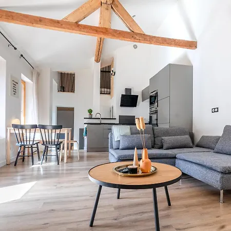 Loft St Maurice Les Arcs La Maison Des Tetes Apartment